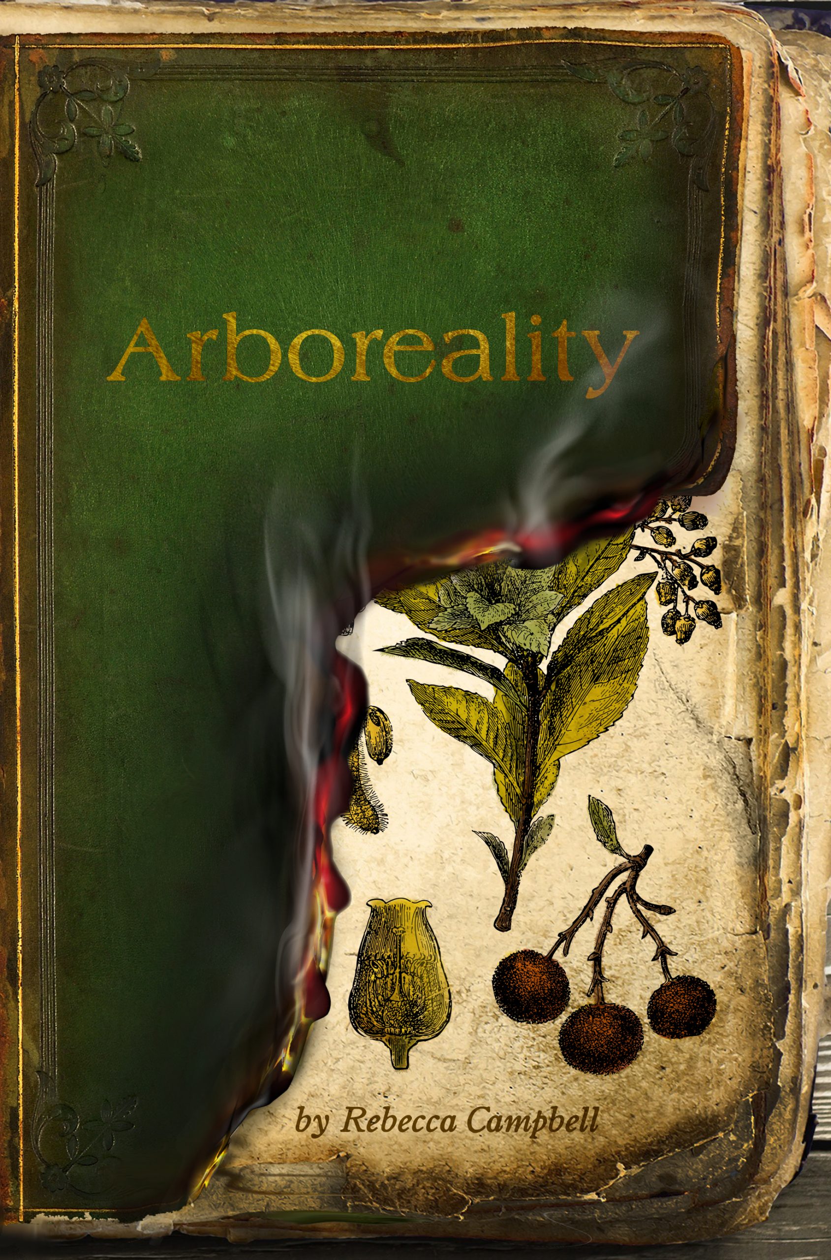 Arboreality by Rebecca Campbell ⋆ Stelliform Press